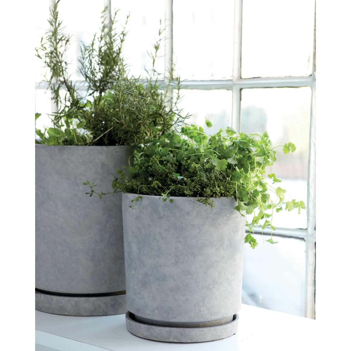 Talo-lääkäri Herb Pot -lautanen, koukun, vaaleanharmaa-S :, H: 45 cm, Dia: 40 cm, L :, H: 55 cm, Dia: 50 cm