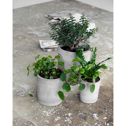 House Doctor Herb Pot, Ave, vaaleanharmaa-S :, H: 22 cm, Dia: 18,5 cm, M:, H: 27 cm, Dia: 24 cm, L:, H: H: