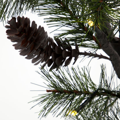 Jouluhakara LED: llä, HDPEUCE: lla, luonto